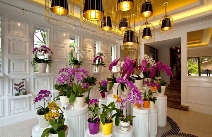Cửa Hàng Hoa Tươi Bình Dương